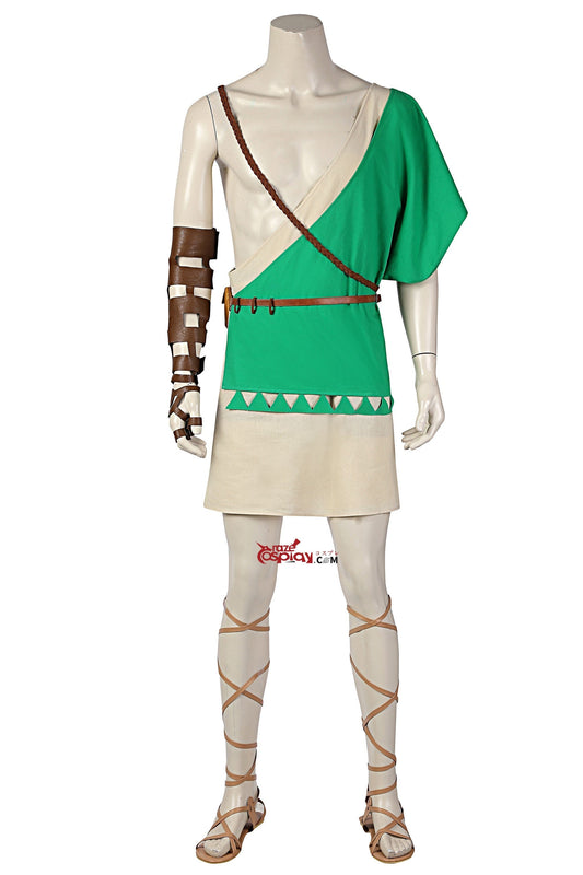 Zelda Link Outfit Cosplay Costume
