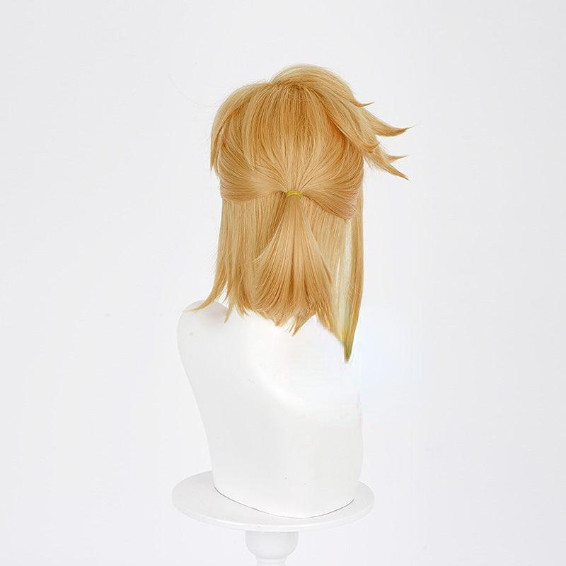 Link Cosplay Wig