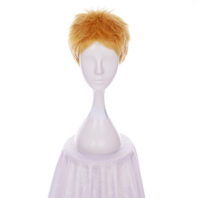 Reiner Braun Cosplay Wig