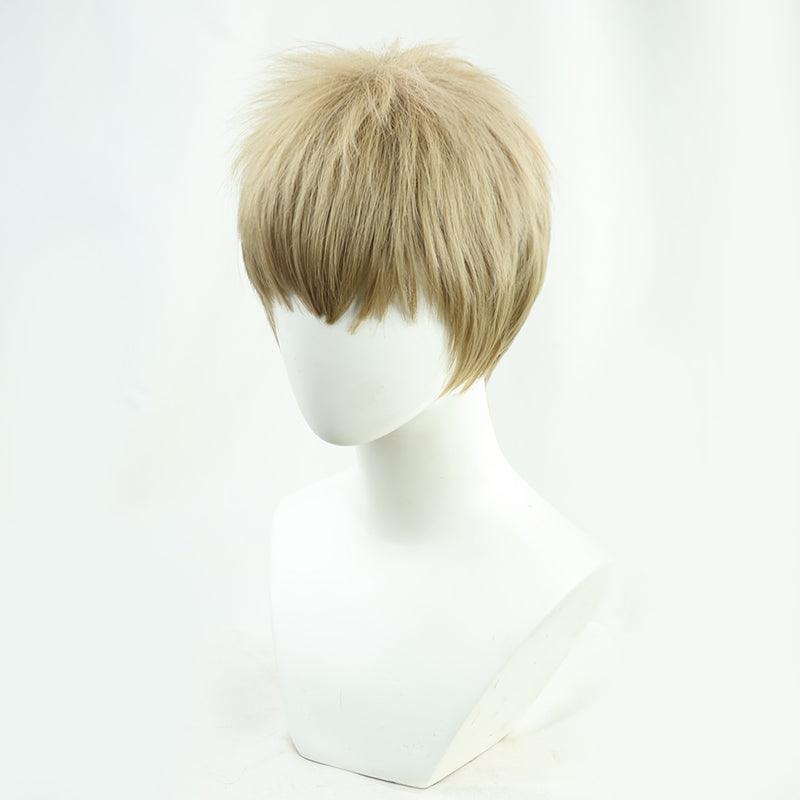 Falco Grice Cosplay Wig