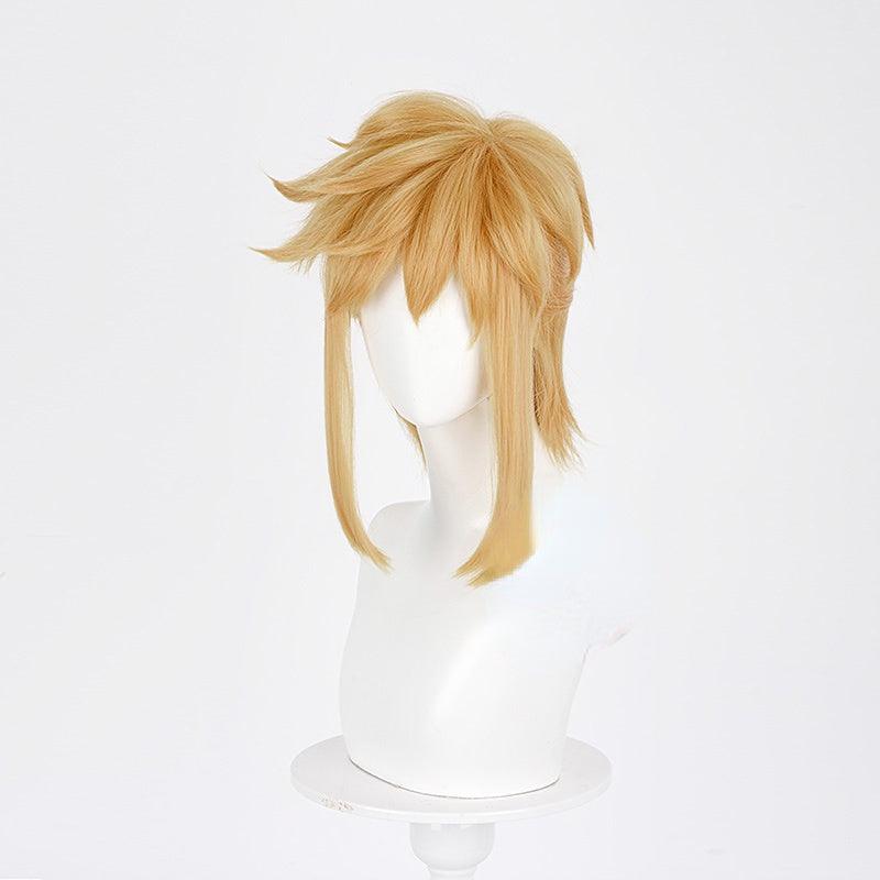 Link Cosplay Wig