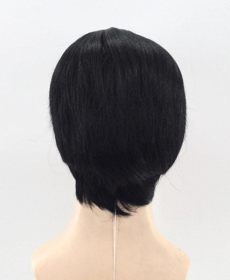 Gomez Addams Cosplay Wig